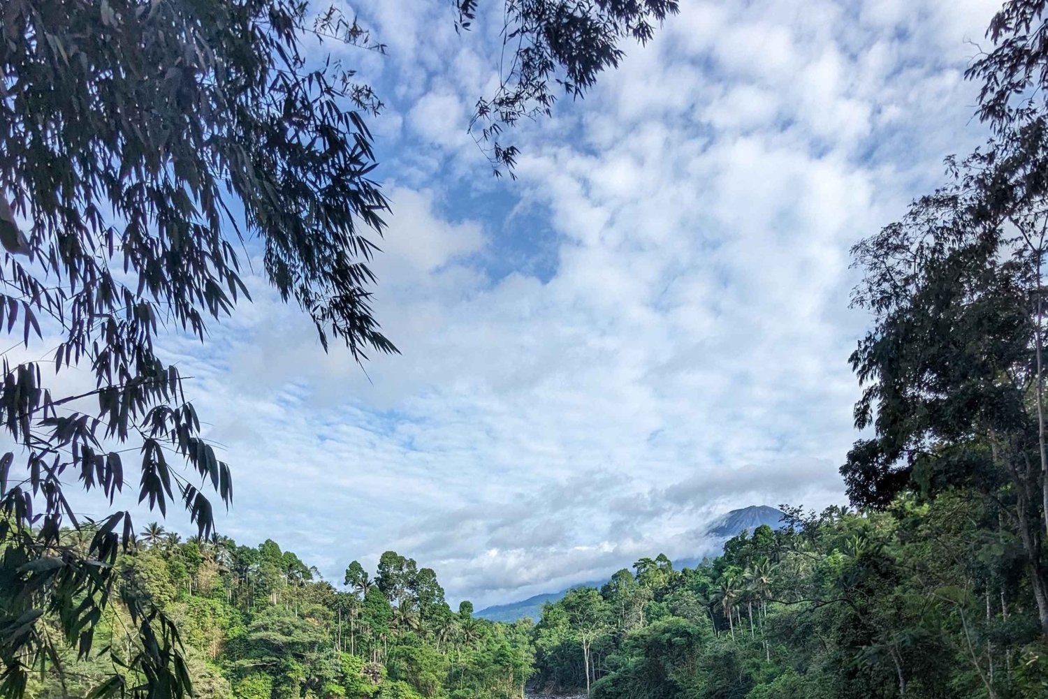 4 days Road trip East java . Mt Bromo, Mt ijen