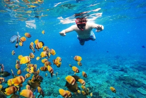 4 Spot Snorkeling and Swim With Manta Rays in Nusa Penida