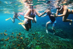 4 Spot Snorkeling and Swim With Manta Rays in Nusa Penida