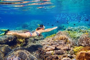 5 Geheime Gili Boottocht & Snorkelen in Zuidwest Lombok