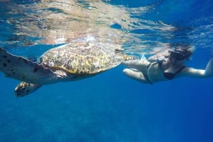 5 Geheime Gili Boottocht & Snorkelen in Zuidwest Lombok