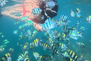 5 Geheime Gili Boottocht & Snorkelen in Zuidwest Lombok