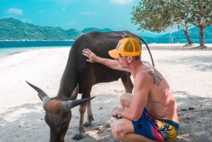 5 Geheime Gili Boottocht & Snorkelen in Zuidwest Lombok