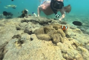 5 Secret Gili Boat Trip & Snorkeling in Southwest Of Lombok