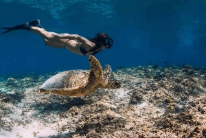 7 Days Bali and Gili Islands Experience