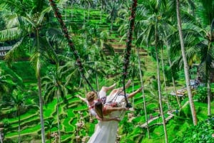 Ubud: Alas Harum Day-Pass, Swing, Sky Bike & Flying Fox