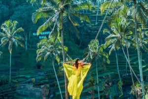 Ubud: Alas Harum Day-Pass, Swing, Sky Bike & Flying Fox