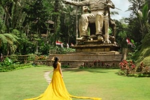 Ubud: Alas Harum Day-Pass, Swing, Sky Bike & Flying Fox