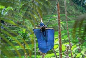 Ubud: Alas Harum Day-Pass, Swing, Sky Bike & Flying Fox