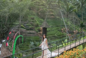 Ubud: Alas Harum Day-Pass, Swing, Sky Bike & Flying Fox