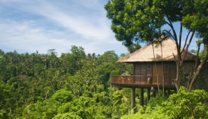 Alila Ubud