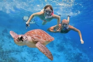 All Include Snorkeling at Menjangan Island