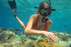All Include Snorkeling at Menjangan Island