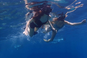 Todo incluye buceo con tubo en la isla de Menjangan