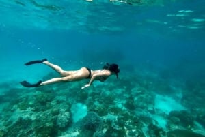 All Inclusive Bali Blue Lagoon and Tanjung Jepun Snorkeling