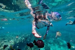 All Inclusive Bali Blaue Lagune und Tanjung Jepun Schnorcheln