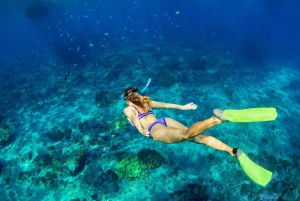 Snorkling med all inclusive i Bali Blue Lagoon och Tanjung Jepun