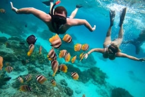 Snorkling med alt inkludert i Bali Blue Lagoon og Tanjung Jepun