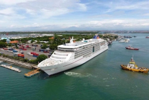 All Inclusive Bali Day Shore Tours with Premium Car