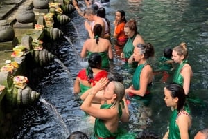 Aloha Ubud Swing and Kintamani Tour Packages