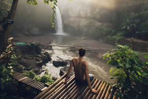 Aloha Ubud Swing and Kintamani Tour Packages