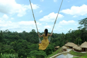 Aloha Ubud Swing and Kintamani Tour Packages
