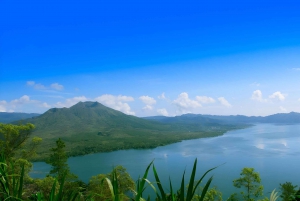 Aloha Ubud Swing and Kintamani Tour Packages