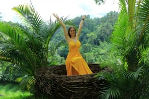 Aloha Ubud Swing and Kintamani Tour Packages