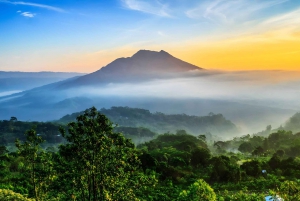 Aloha Ubud Swing and Kintamani Tour Packages