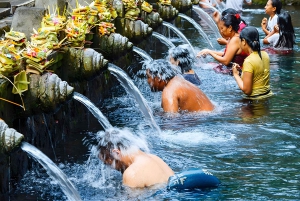 Aloha Ubud Swing and Kintamani Tour Packages