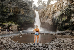 Aloha Ubud Swing and Kintamani Tour Packages