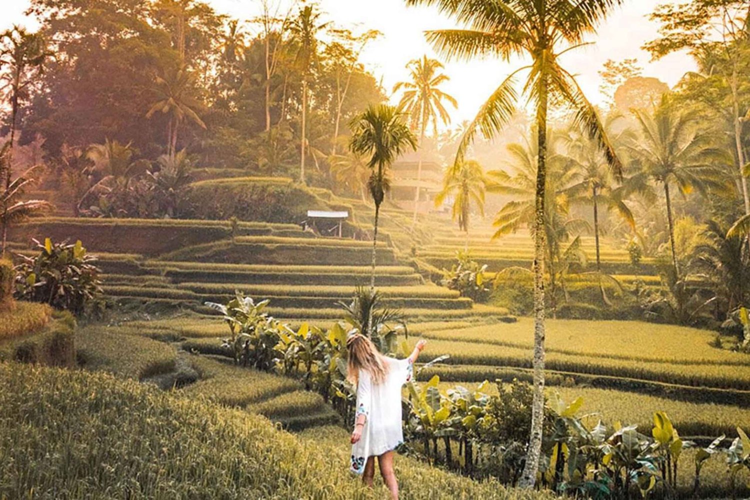 Amazing Kintamani Ubud Tour with Overlook Volcano View