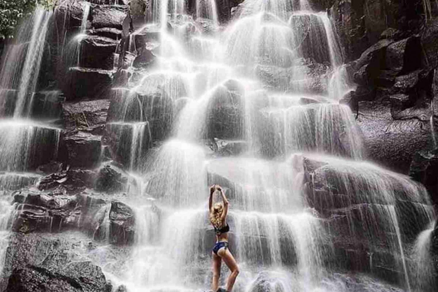 Visite d'Ubud, forêt des singes, cascade de Riceterace, purification