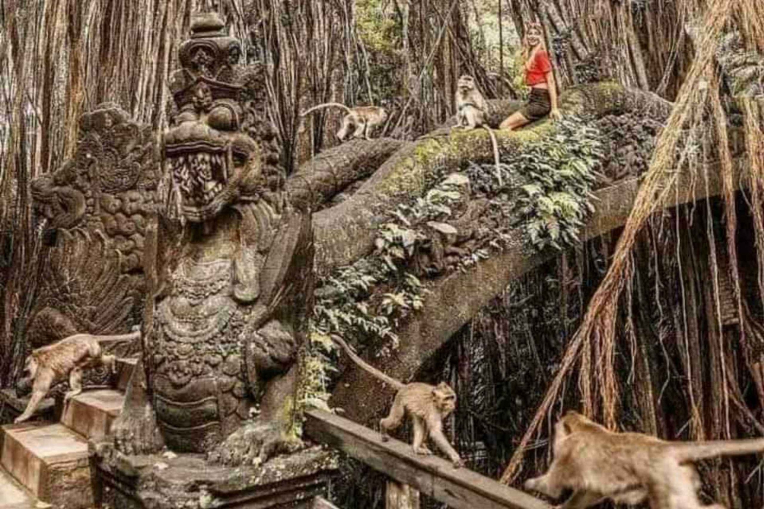 Ubud, Floresta dos Macacos, Cachoeira Riceterace, Purificação