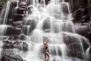 Ubud, Floresta dos Macacos, Cachoeira Riceterace, Purificação