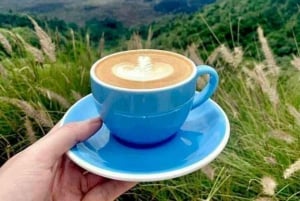 Ubud, Floresta dos Macacos, Cachoeira Riceterace, Purificação