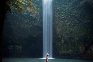 Ubud, Floresta dos Macacos, Cachoeira Riceterace, Purificação