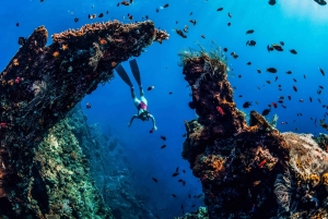 Amed: Snorkeling Trip to the Japanese Shipwreck