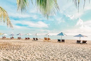 Amed: Snorkeling Trip to the Japanese Shipwreck