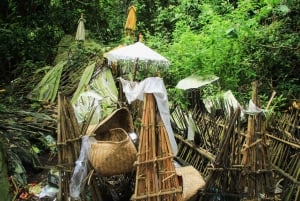 Bali: Trunyan Cemetery, Hot Springs, and Penglipuran Village