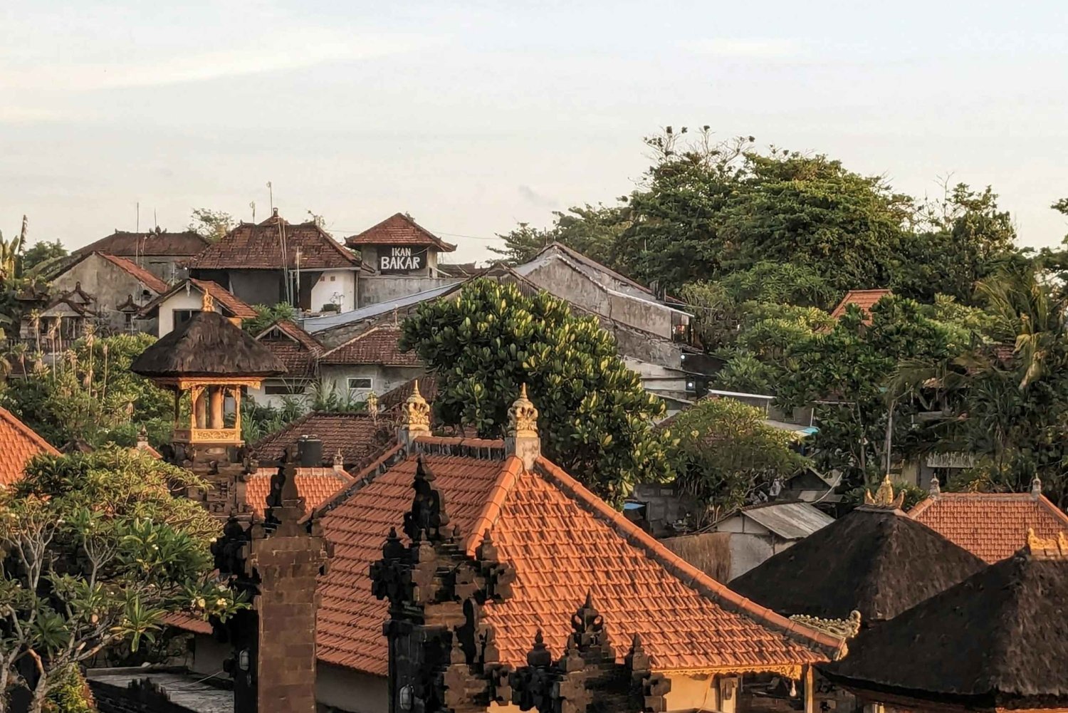 Village de Penglipuran et randonnée dans la forêt de bambous