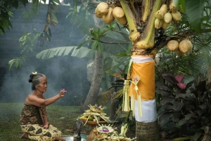 Ancient Penglipuran Village and Bamboo Forest Trekking