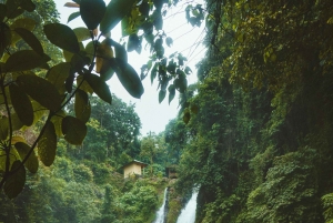 Ancient Penglipuran Village and Bamboo Forest Trekking