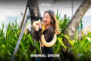 Atlas Beach Club Bali: prenotazione lettino con credito F&B