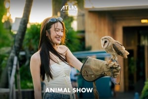 Atlas Beach Club Bali: Daybed reserveren met F&B-tegoed