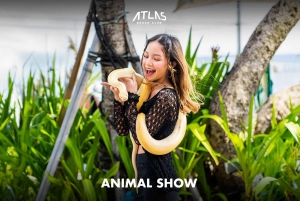 Atlas Beach Club Bali: DayBed Booking with F&B Credit