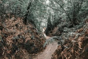 All-terrain vehicle a Bali: Gorilla Cave e pranzo al Cretya Sunset