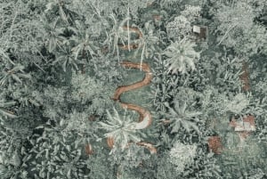 All-terrain vehicle a Bali: Gorilla Cave e pranzo al Cretya Sunset