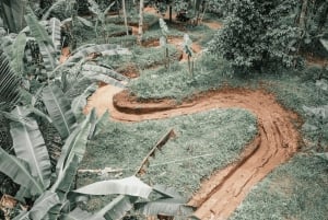 All-terrain vehicle a Bali: Gorilla Cave e pranzo al Cretya Sunset