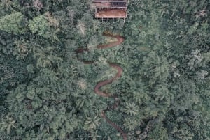 All-terrain vehicle a Bali: Gorilla Cave e pranzo al Cretya Sunset